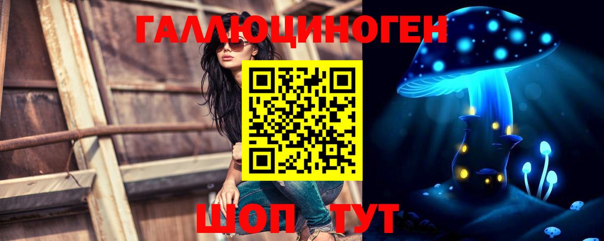 Галлюциногенные грибы GOLDEN TEACHER  Вход с VPN  Сосновый Бор 